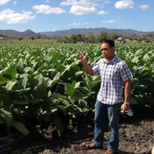 Pedro guiding us at the Padron farm