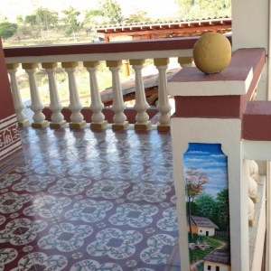 8544.jpg
