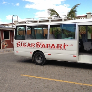 The Bus