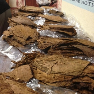 Tobacco selection for our blending session