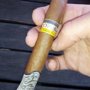 Cohiba Siglo IV 07