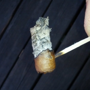 Cohiba Siglo IV 07 Nub