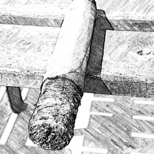 Oliva Black and White