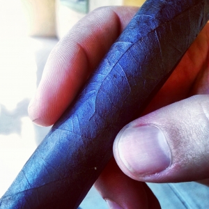 Rocky Patel "The Edge" Maduro I love the Wrapper on this one.