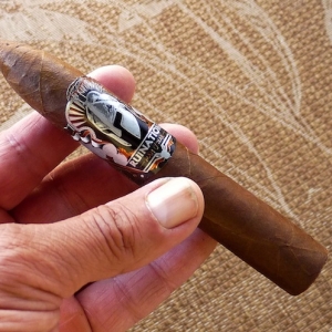 Man O' War Ruination Belicoso