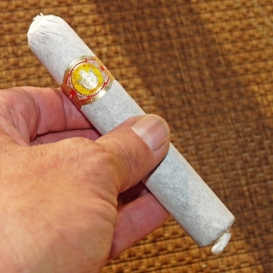 El Rey del Mundo Robusto Oscuro