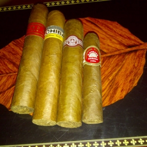 CC gifted by generous BOTL...