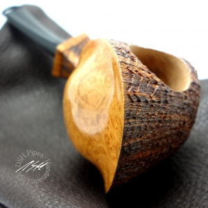 blowfish profile glamour right