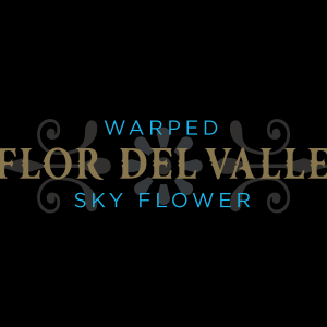 Flor-del-valle-sky-flower_36c5f33e-8aec-4c4d-8623-b2ae6b621216
