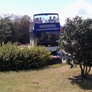 Double Decker Tour Bus