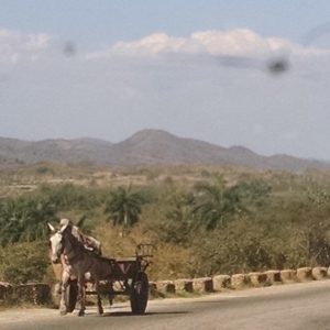 Highway - Santa Clara To Trinidad-1