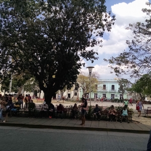 People Socilizing At Park (Free WiFi)