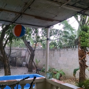 Rainy Day