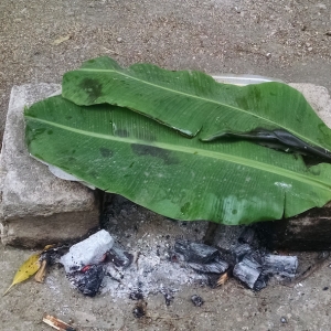 Wood Cooked Fish Covered By Banana Leaves