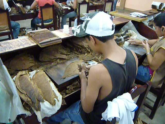 14 Filller & Binder