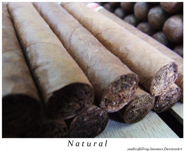 62cc93a678114943bee8a4cb573e430e