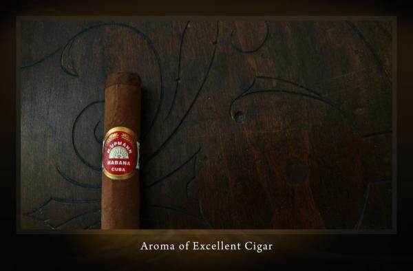 Aroma of Excellent Cigar by Martioon