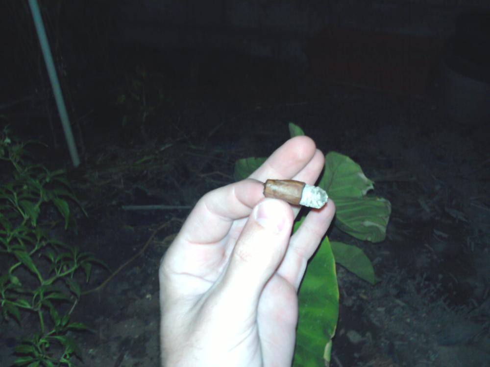 AVO Domaine Purito 'nubbed!