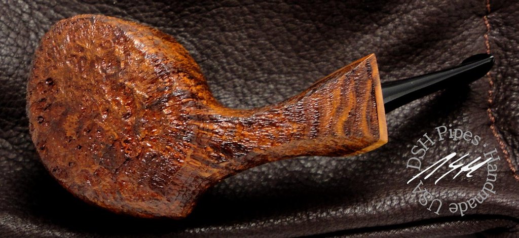 blowfish profile left