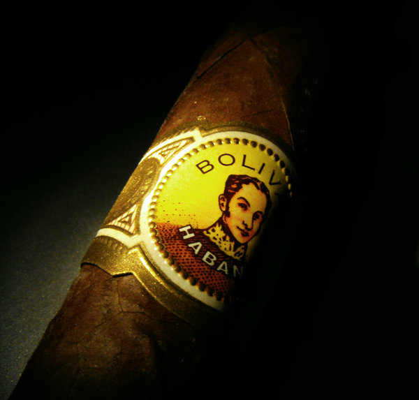 Bolivar by daliscar