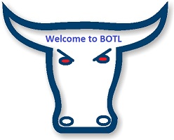 bull logo01