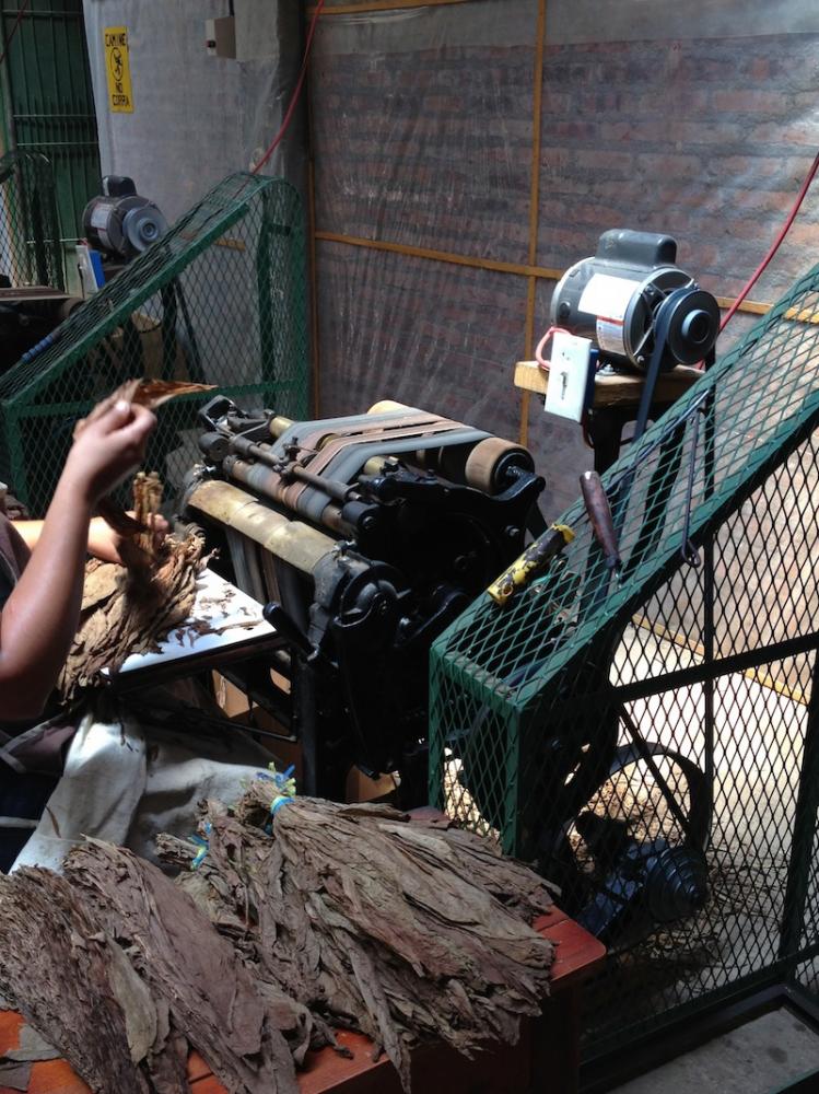 De-stemming tobacco leaves at Oliva Tobacco Company