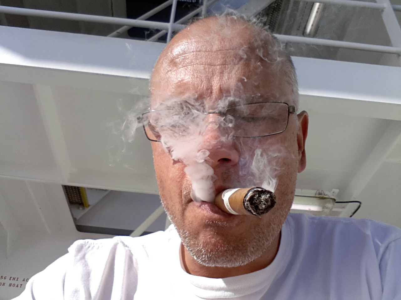 Dense Fog in Brazil (Flor de Selva)