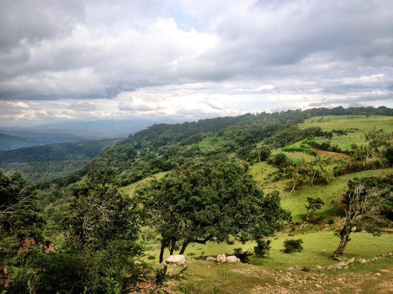 Esteli Tisey