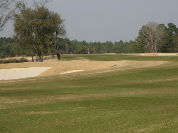 fairway of 15
