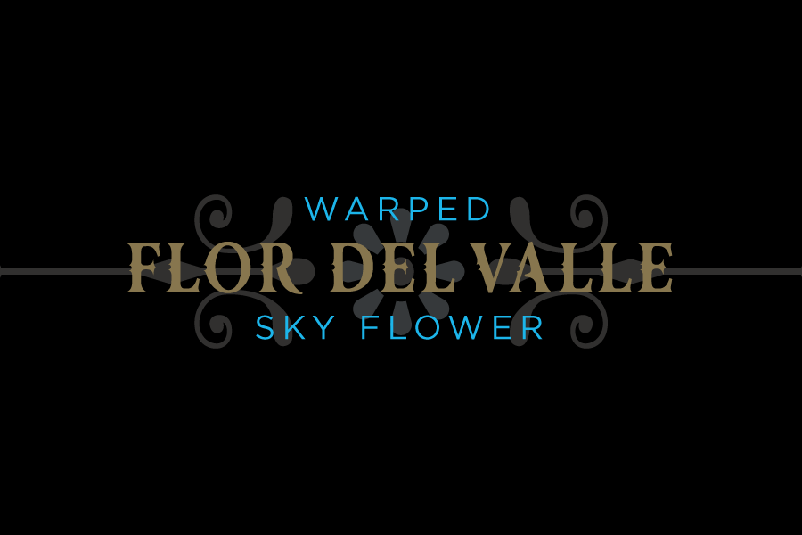 Flor-del-valle-sky-flower_36c5f33e-8aec-4c4d-8623-b2ae6b621216