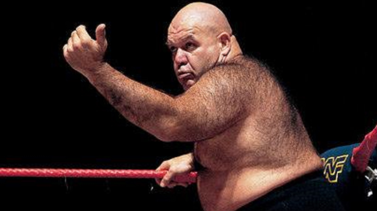 George The Animan Steele