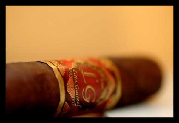 Lito Gomez No 1 by aluxnahual