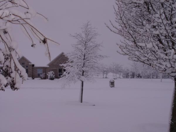 Looking out my front door