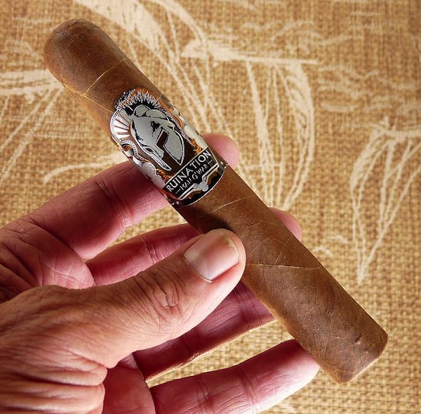 Man O' War Ruination Robusto #2