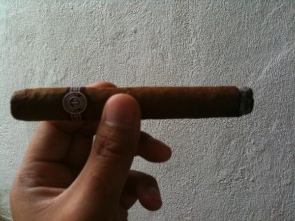 Monte4 5 21 10