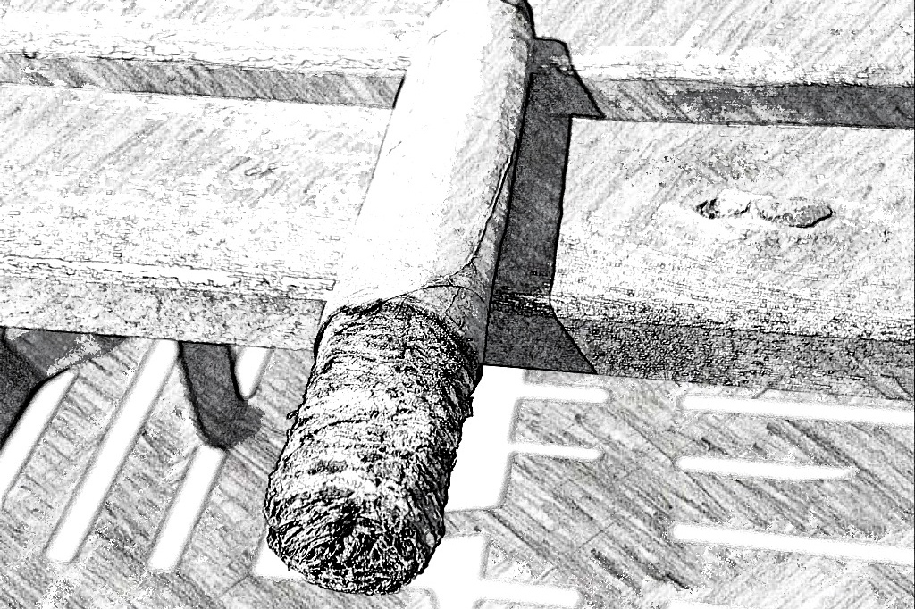 Oliva Black and White