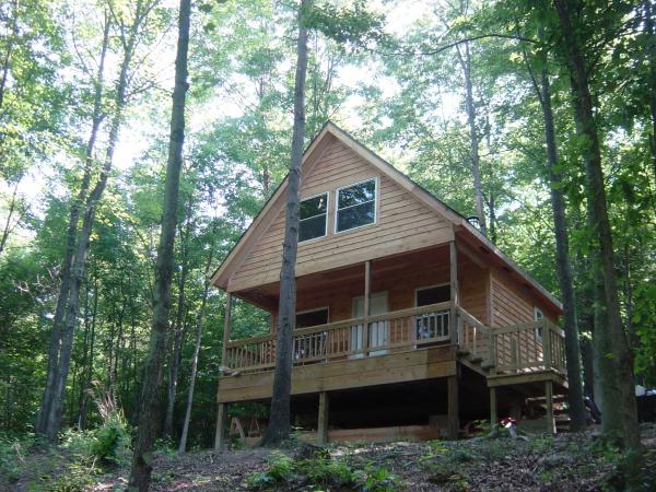 Our little cabin in the woods.  20 x 20 sitting on 27 acres.  No electric, no water...yet.