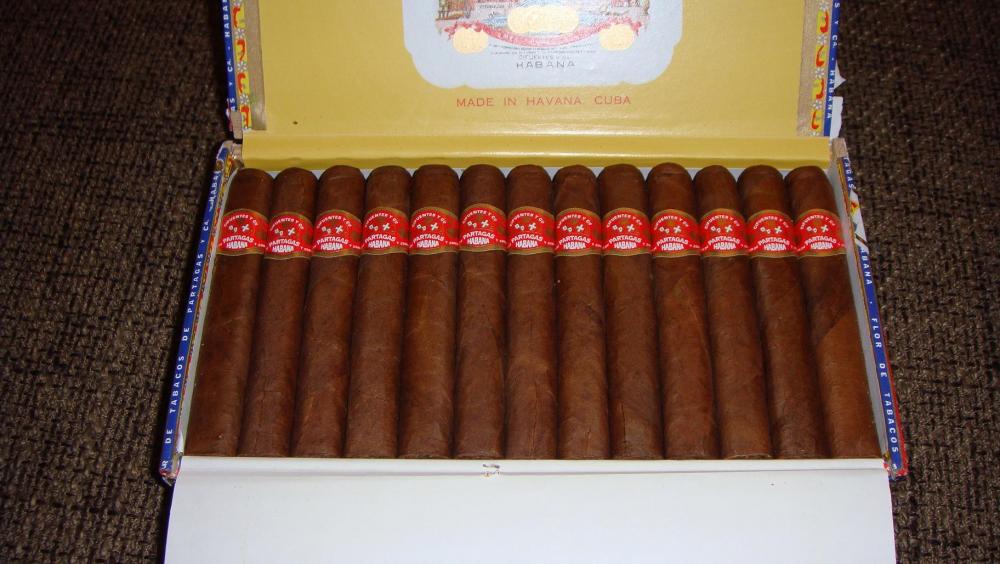 PARTAGAS SHORTS