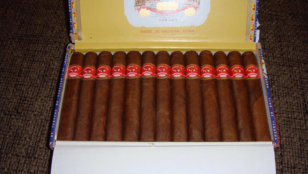 PARTAGAS SHORTS