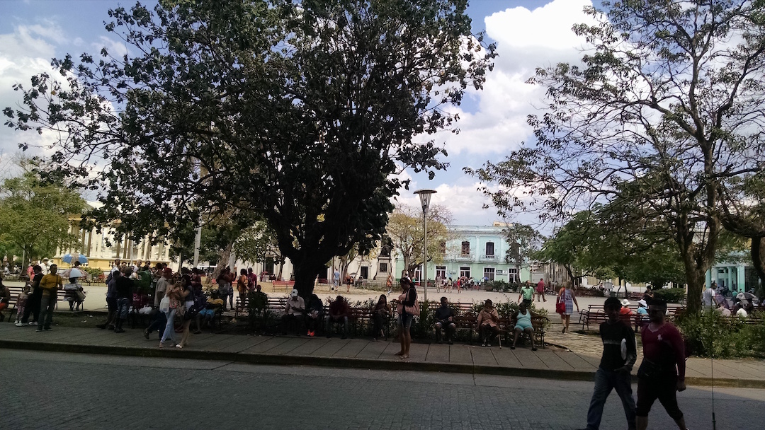 People Socilizing At Park (Free WiFi)