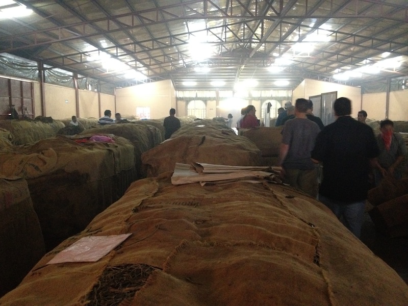 Pilones at My Father Cigars