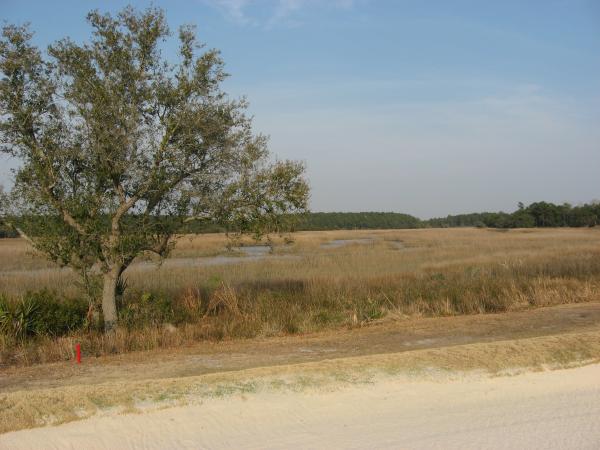 Ralston creek