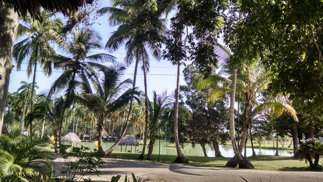 Resort For Locals-2