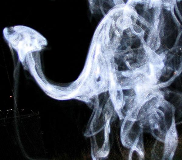 SmokinGhost