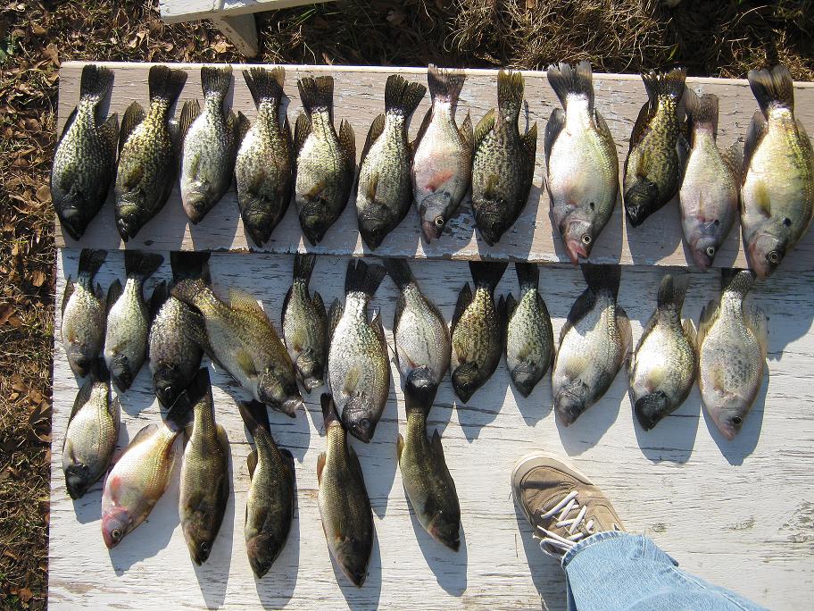 Spring Crappie 2010