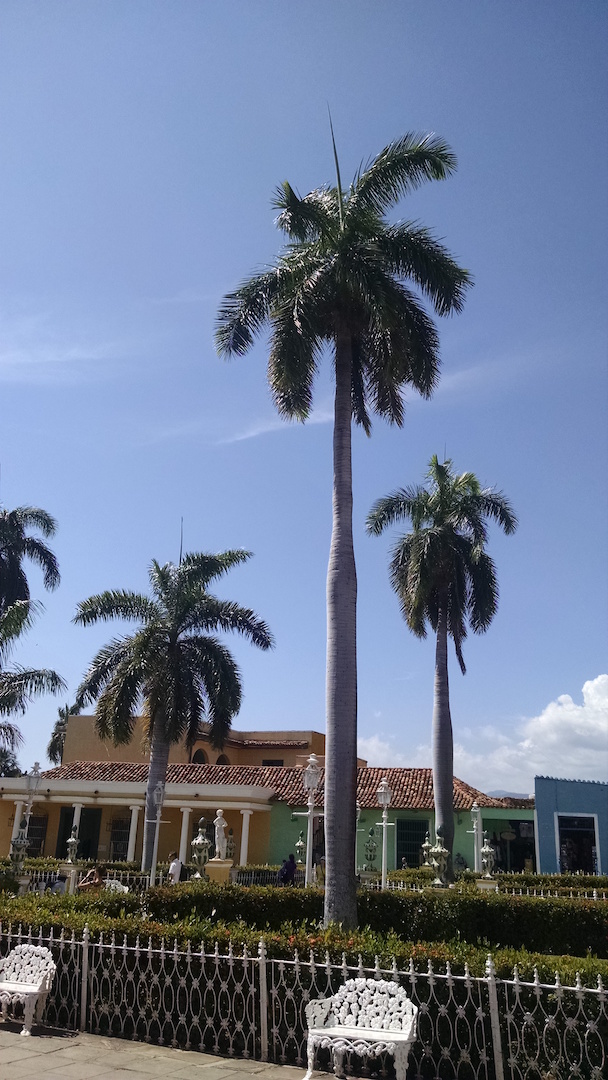 Trinidad Town Center (5)