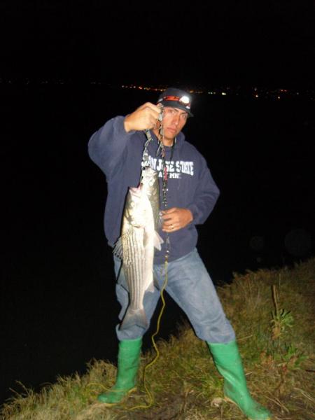 Vallejo Striper