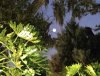 IMG20260303060650.jpg