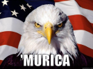 1783178493366.png