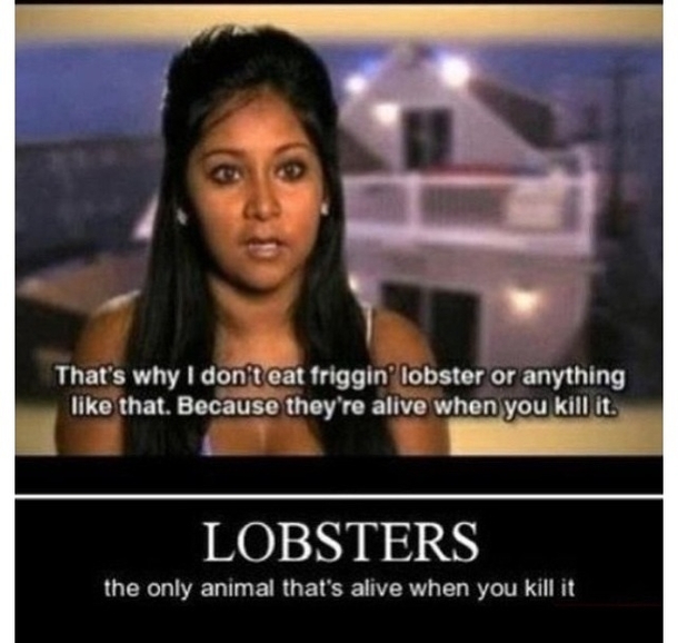 -lobsters-37481.jpg
